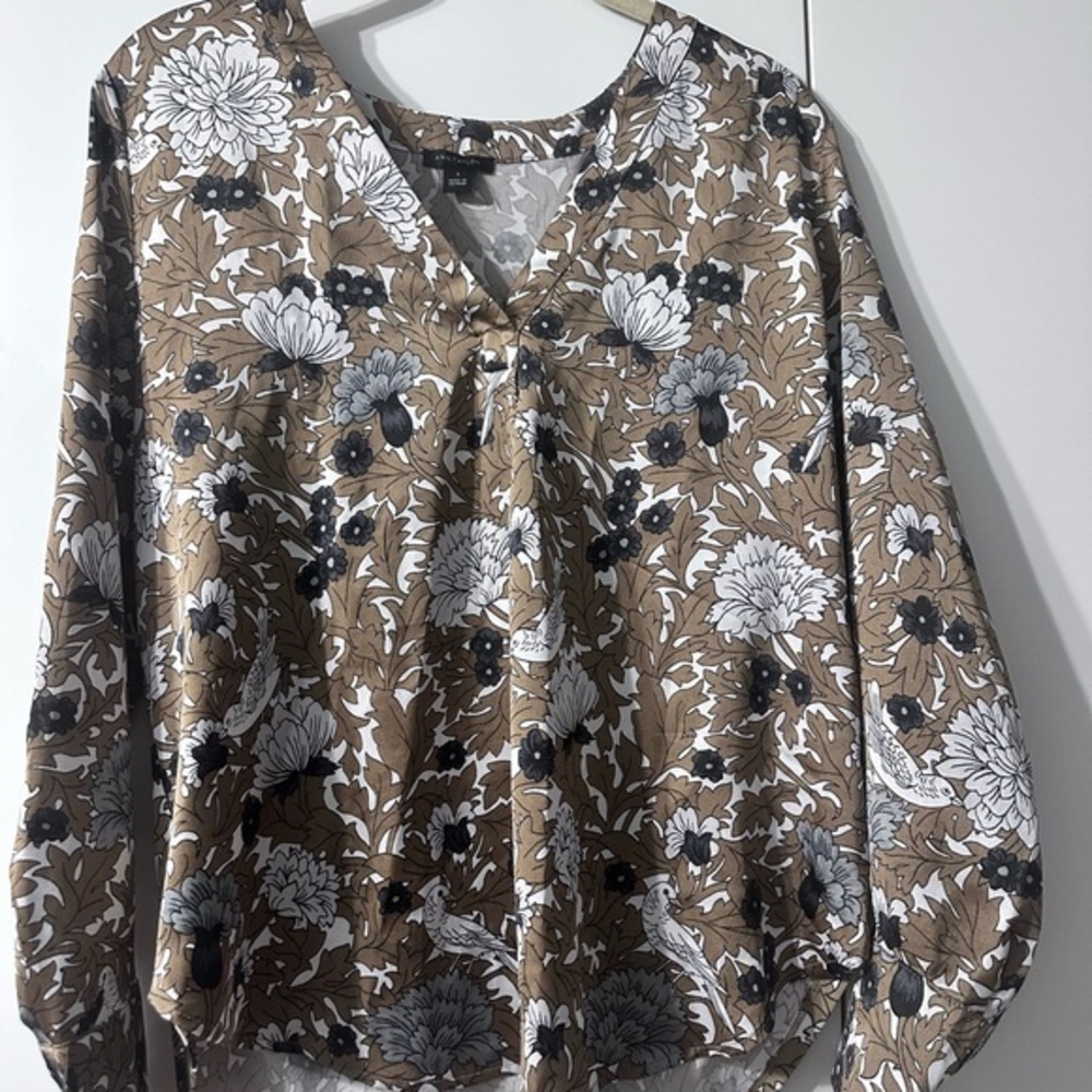 Ann Taylor Floral Print V-Neck Blouse - Brown and Black